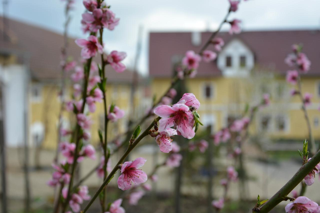 Statek Lunikov Villa Zizice ภายนอก รูปภาพ